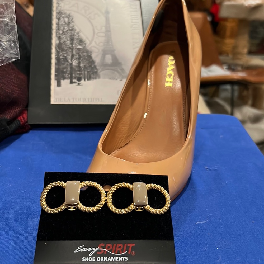 Shoe clips